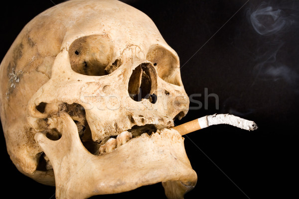 Human Skull Smoking Stock photo © winterling