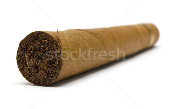 雪茄 古巴 孤立 白 健康 背景 商業照片 © winterling