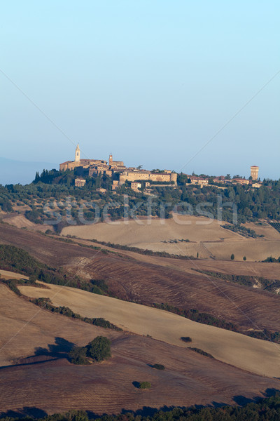 表示 日の出 トスカーナ イタリア ツリー 風景 ストックフォト © wjarek