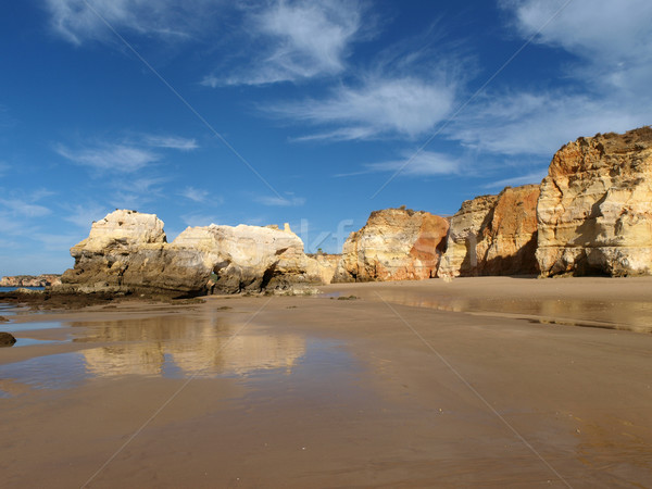 Abteilung Strand Region Wasser Natur Stock foto © wjarek