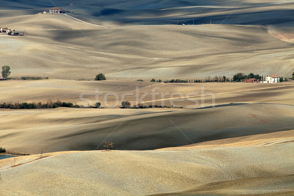 Krajobraz Toskania Włochy charakter lata dziedzinie Zdjęcia stock © wjarek
