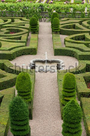 Splendid, decorative gardens at castles in France Stock photo © wjarek