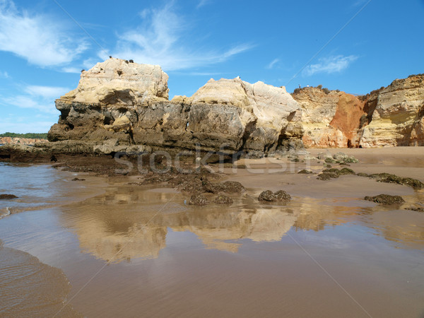 Abteilung Strand Region Wasser Natur Stock foto © wjarek