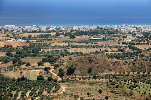 Olive groves around Kardamena as seen from the fortress Antimachia. Stock photo © wjarek