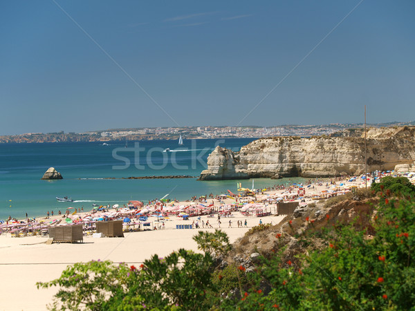 [[stock_photo]]: Idyllique · plage · région · eau · nature