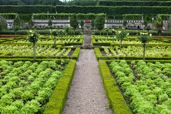 Gardens and Chateau de Villandry  in  Loire Valley in France  Stock photo © wjarek