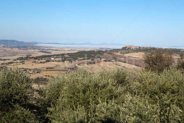 Tepeler etrafında Toskana İtalya ağaç manzara Stok fotoğraf © wjarek