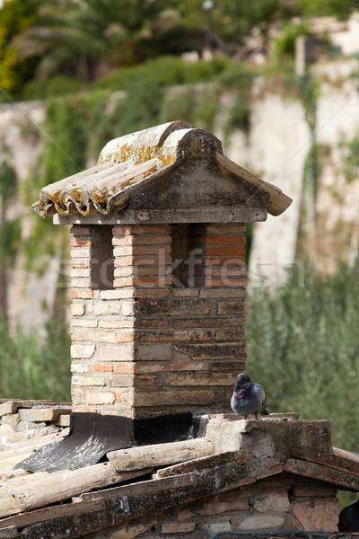 the old roof tile and brick chimney Stock photo © wjarek