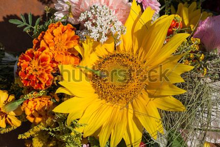 beautiful bouquets of flowers and herbs Stock photo © wjarek