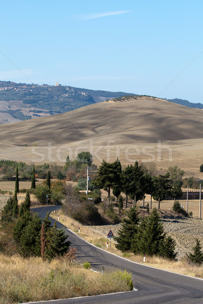 Wzgórza około Toskania Włochy drzewo krajobraz Zdjęcia stock © wjarek