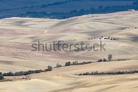Krajobraz Toskania Włochy drzewo lata jesienią Zdjęcia stock © wjarek