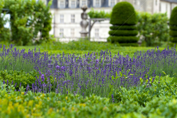 Gardens and Chateau de Villandry  in  Loire Valley in France  Stock photo © wjarek