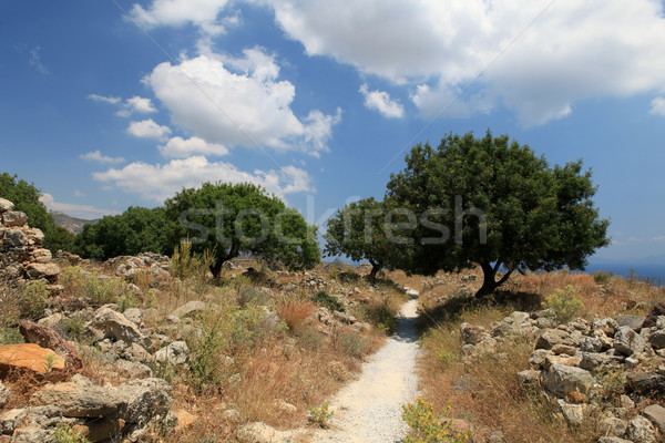 Ruins  of the Venetian Castle near Antimachia village Stock photo © wjarek