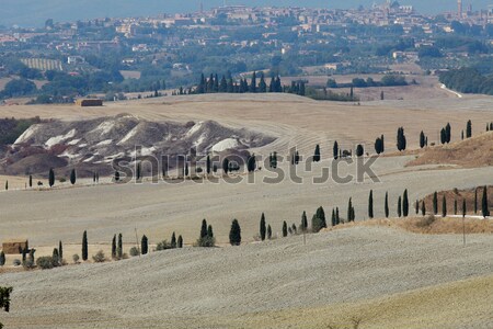 Landschaft Toskana Italien Schönheit Sommer Kalender Stock foto © wjarek