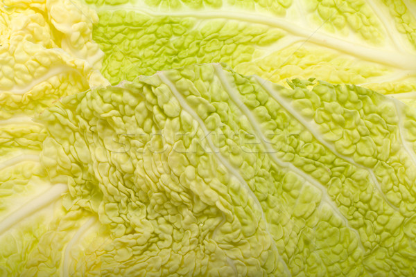 fresh savoy cabbage leaf as a texture  Stock photo © wjarek