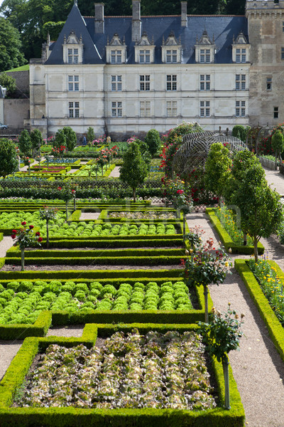 Gardens and Chateau de Villandry  in  Loire Valley in France  Stock photo © wjarek