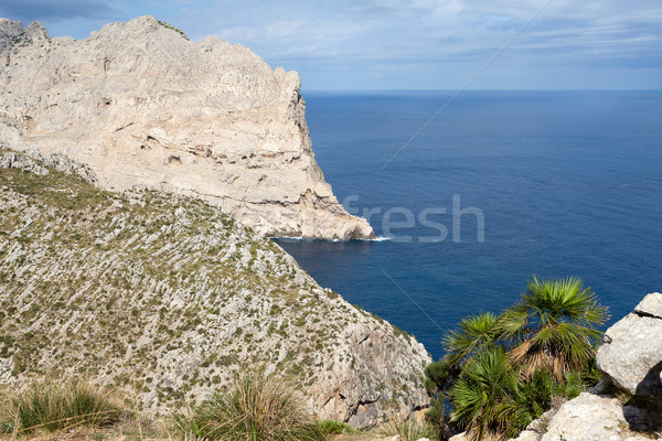 Cape Formentor on Majorca, Balearic island, Spain  Stock photo © wjarek
