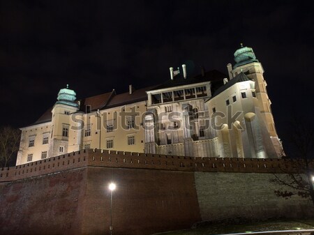 Wawel Royal Castle  - Krakow Stock photo © wjarek