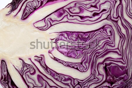 Red Cabbage  Stock photo © wjarek