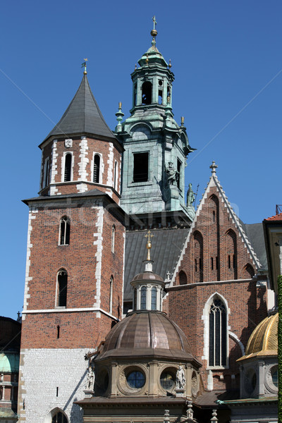 Wawel Hill and the Royal Castle in Krakow Stock photo © wjarek