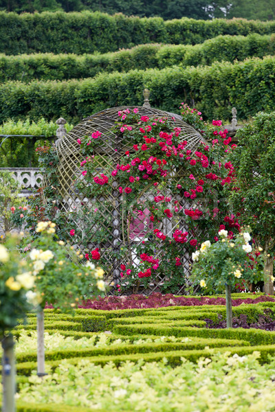 Gardens and Chateau de Villandry  in  Loire Valley in France  Stock photo © wjarek