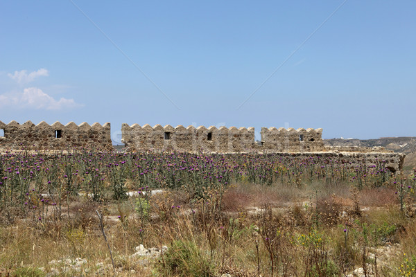Ruins  of the Venetian Castle near Antimachia village Stock photo © wjarek