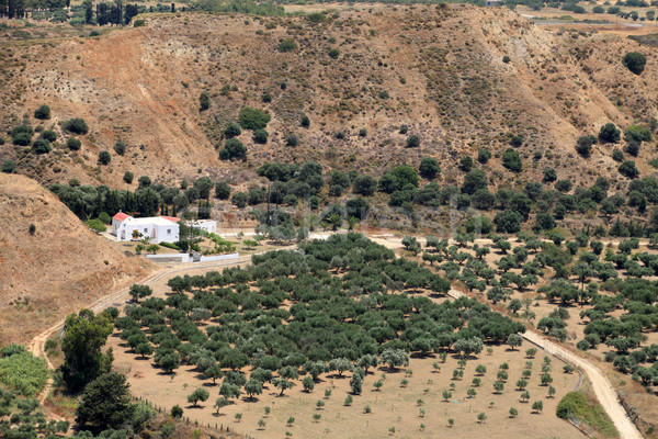 Olive groves around Kardamena as seen from the fortress Antimachia. Stock photo © wjarek