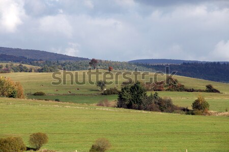 Autumn colors in the mountains Stock photo © wjarek