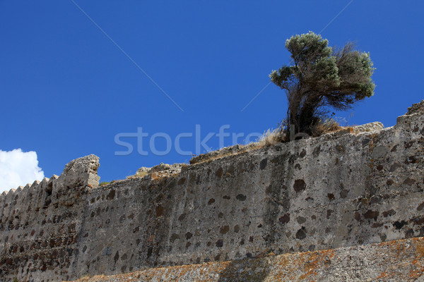 Ruins  of the Venetian Castle near Antimachia village Stock photo © wjarek