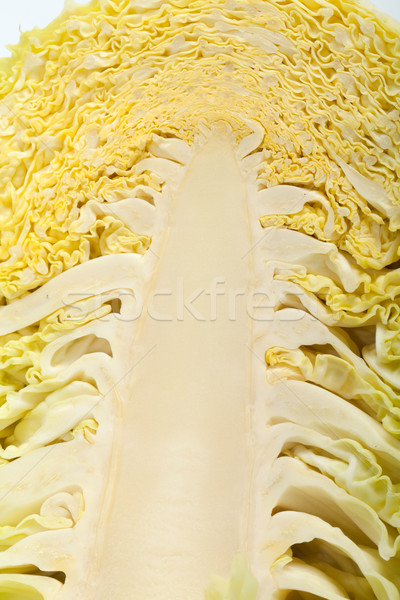 fresh savoy cabbage Stock photo © wjarek