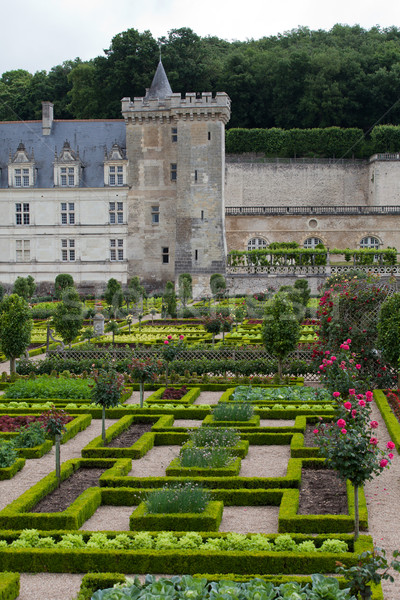 Gardens and Chateau de Villandry  in  Loire Valley in France  Stock photo © wjarek