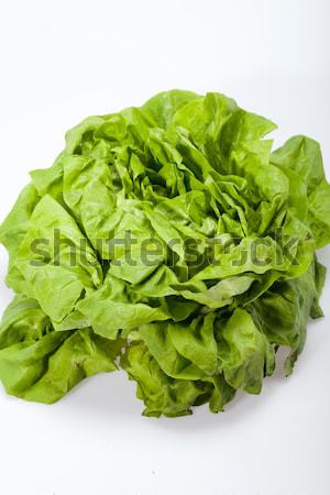 Frischen grünen Salat Salat isoliert weiß Stock foto © wjarek