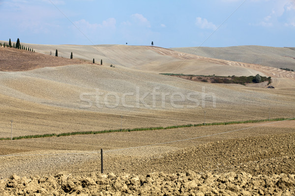Landschaft Toskana Italien Schönheit Sommer Kalender Stock foto © wjarek