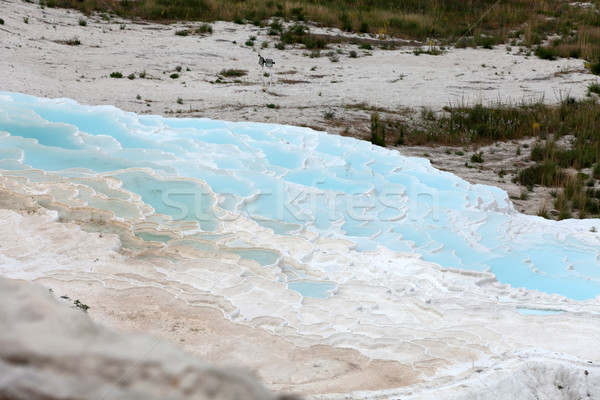 Turquie printemps piscine bleu Voyage spa [[stock_photo]] © wjarek