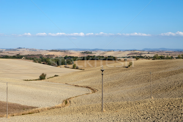 Paysage Toscane Italie arbre été automne [[stock_photo]] © wjarek