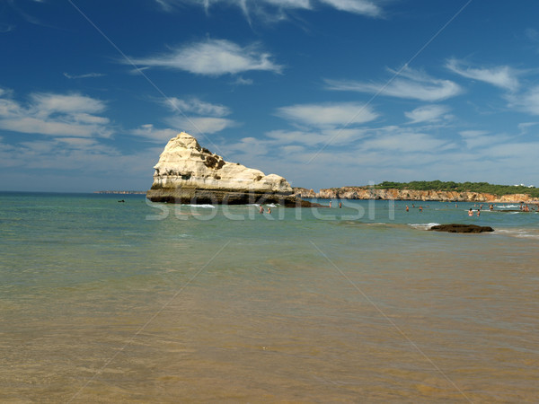 A section of the idyllic Praia de Rocha beach on the Algarve region.  Stock photo © wjarek
