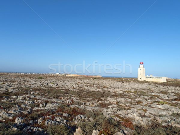 Fortress of Sagres Point was founded by Henry the Navigator.  Stock photo © wjarek
