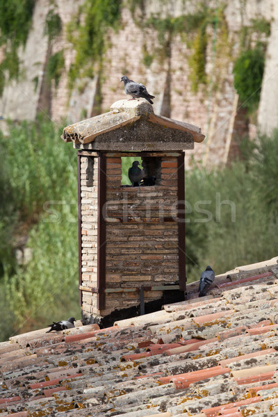 the old roof tile and brick chimney Stock photo © wjarek