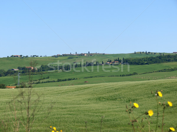 Stock photo: The landscape of the Val d’Orcia. Tuscany. Italiy