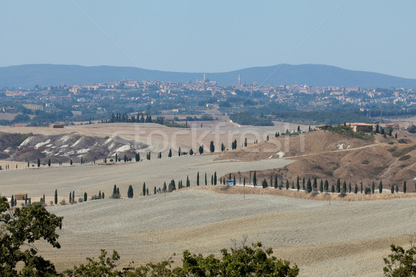 Landschaft Toskana Italien Schönheit Sommer Kalender Stock foto © wjarek