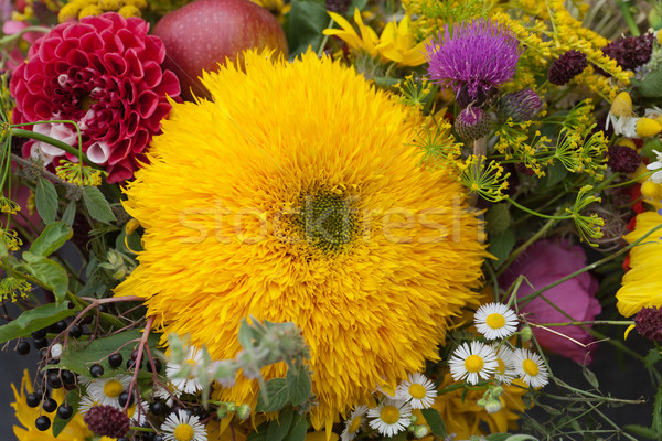 beautiful bouquets of flowers and herbs Stock photo © wjarek