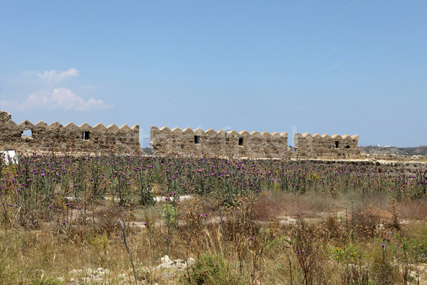 Ruins  of the Venetian Castle near Antimachia village Stock photo © wjarek