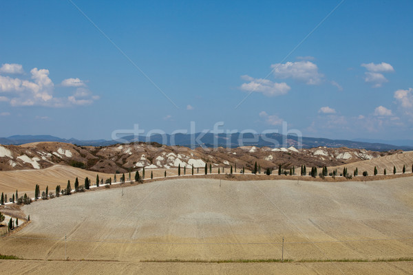 Landschaft Toskana Italien Schönheit Sommer Kalender Stock foto © wjarek