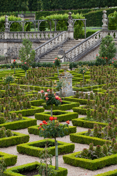 Gardens and Chateau de Villandry  in  Loire Valley in France  Stock photo © wjarek