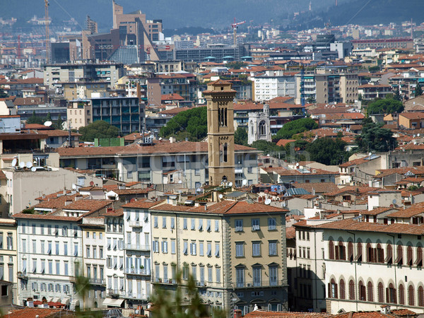 View of Florence from the Boboli Gardens Stock photo © wjarek