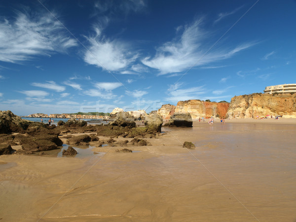 Stock photo: A section of the idyllic Praia de Rocha beach on the Algarve region. 