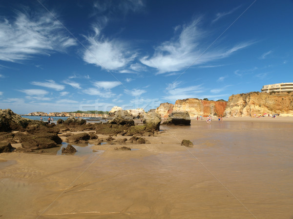 Foto d'archivio: Sezione · idilliaco · spiaggia · regione · acqua · natura