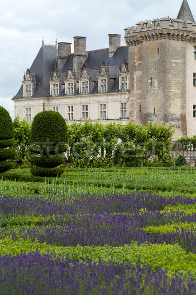 Gardens and Chateau de Villandry  in  Loire Valley in France  Stock photo © wjarek