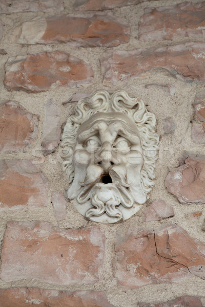  the face of stone Stock photo © wjarek