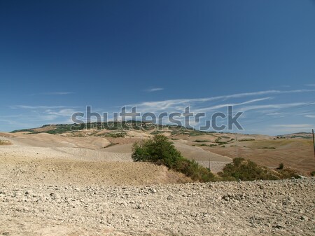 [[stock_photo]]: Paysage · Toscane · Italie · beauté · été · calendrier